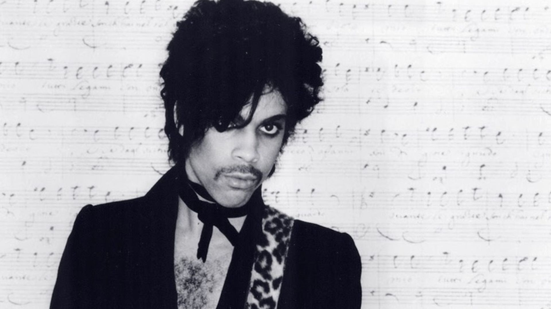 File:Prince 1981.jpg
