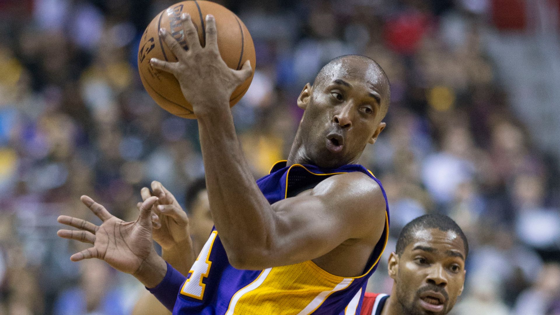 File:Kobe Bryant vs Gary Neal.jpg
