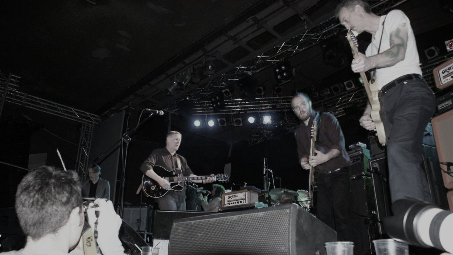 File:Swans warsaw 10 12 2010 poland m kutera.jpg