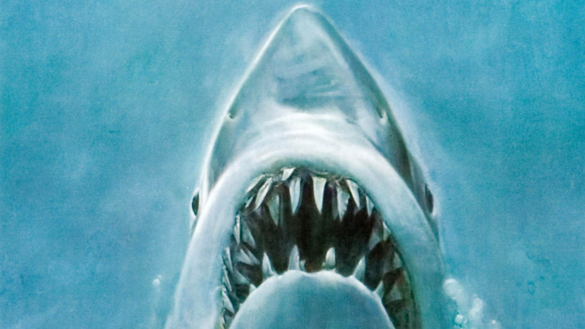 File:Jaws movie poster.jpg