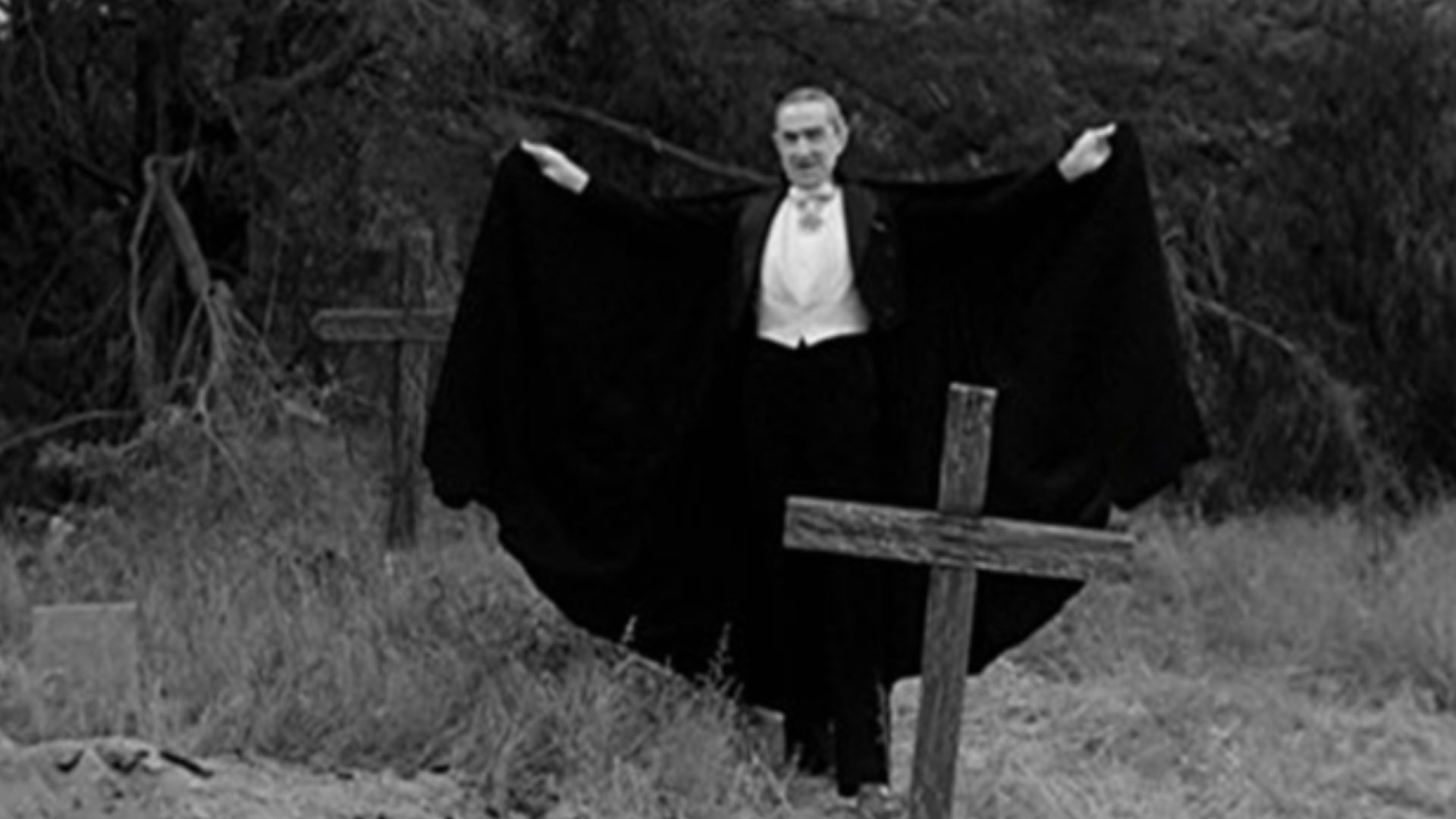 File:PlanNine 08.jpg