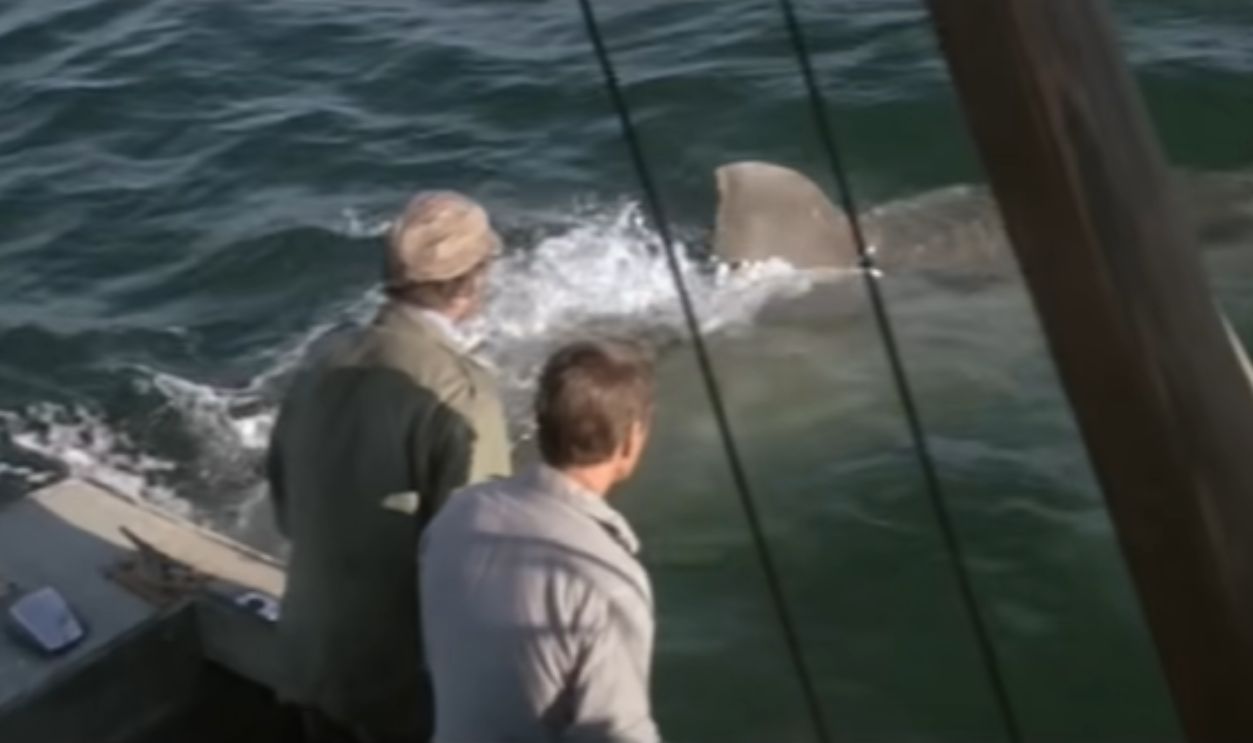 Screenshot from Jaws (1975)