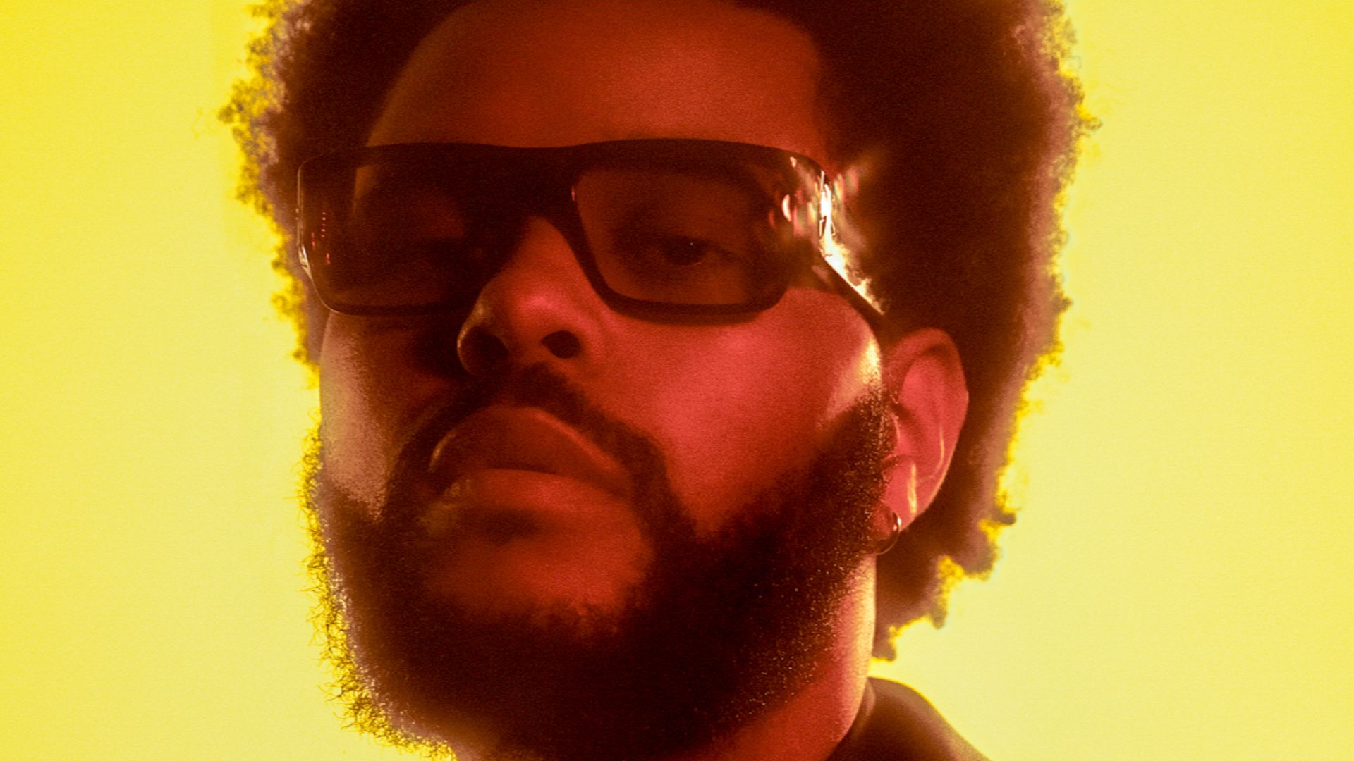 File:The Weeknd Portrait by Brian Ziff.jpg