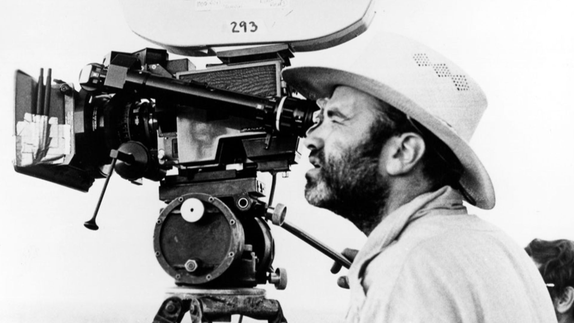 File:Malick, Days of Heaven.jpg