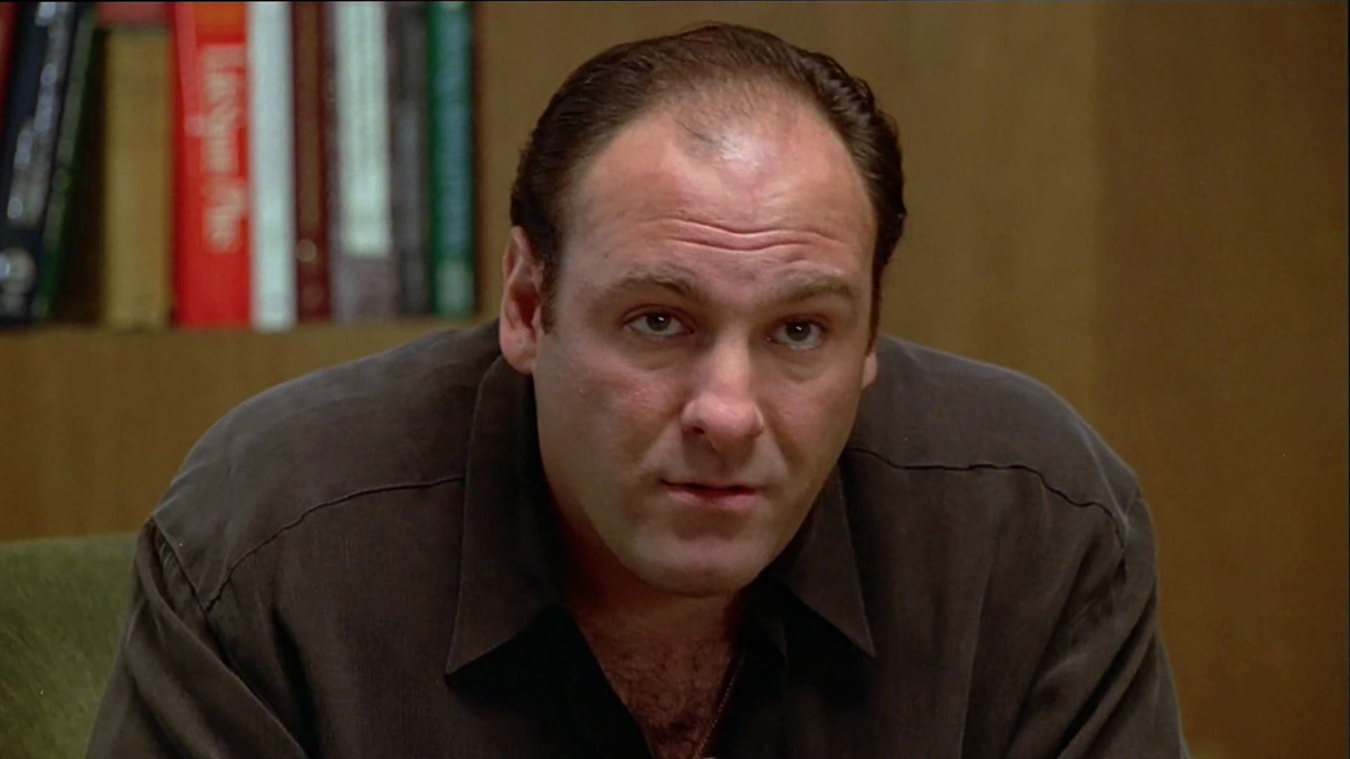 File:Tony Soprano therapy (The Sopranos Family Tree).jpg