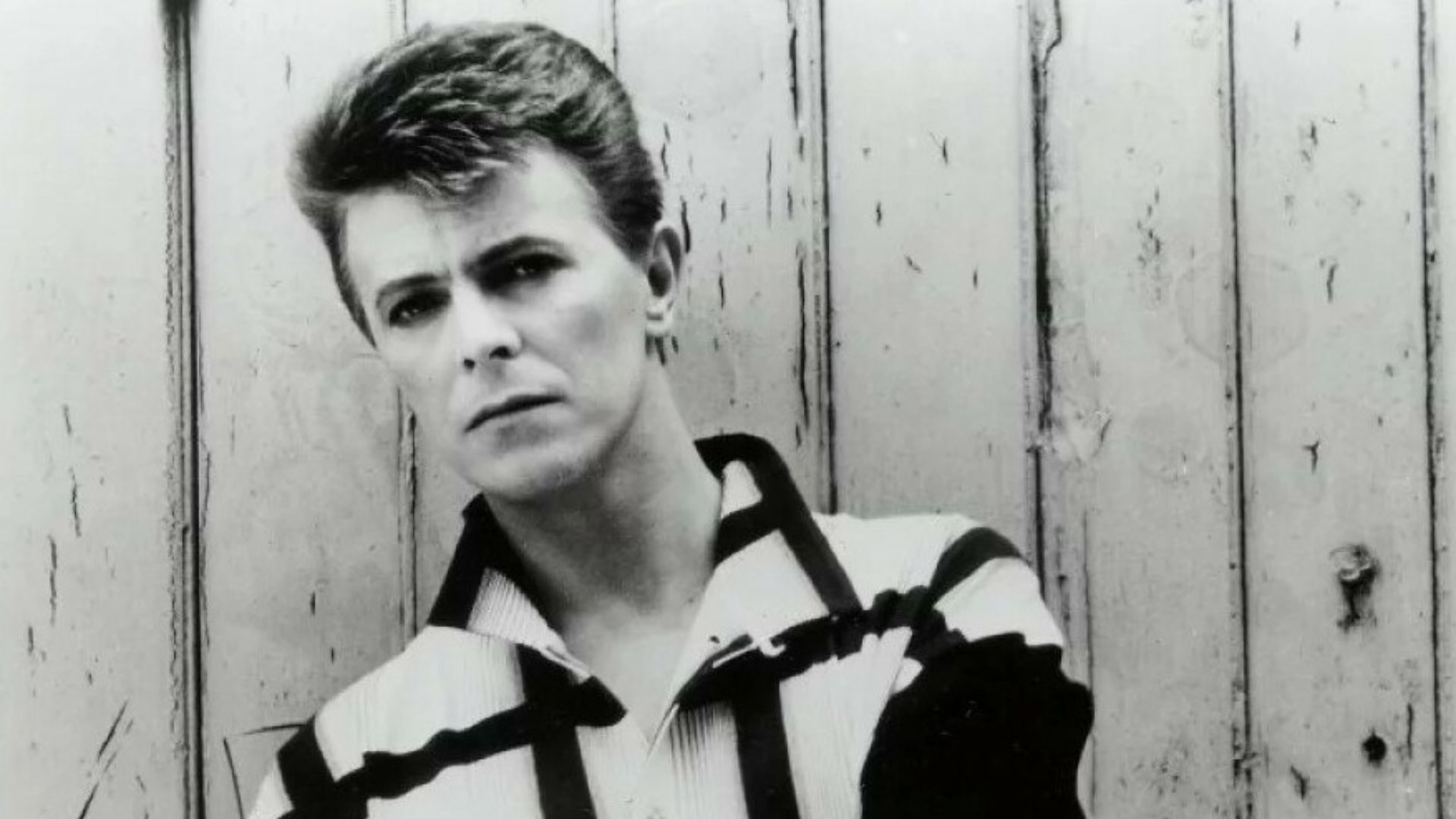 File:David Bowie - 1984 Tonight Promo 002.jpg