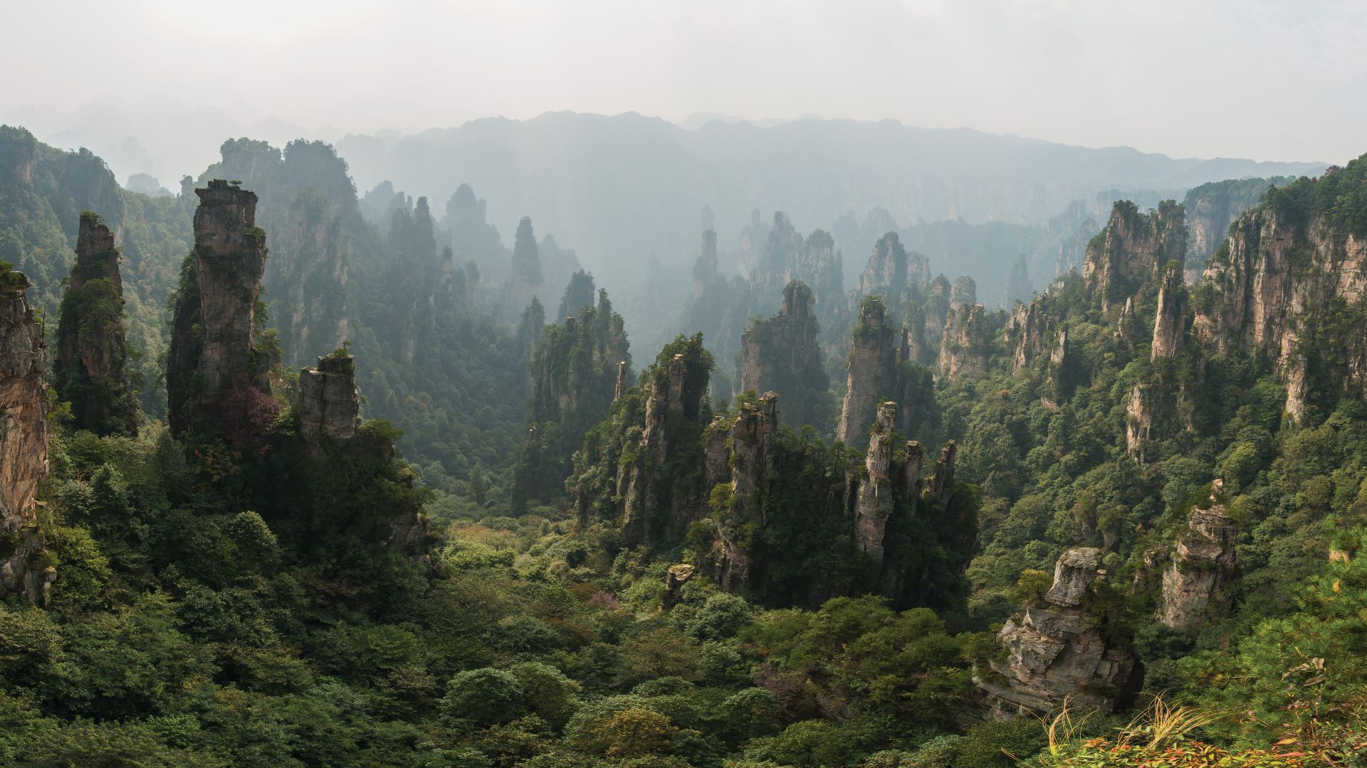 File:1 tianzishan wulingyuan zhangjiajie 2012.jpg