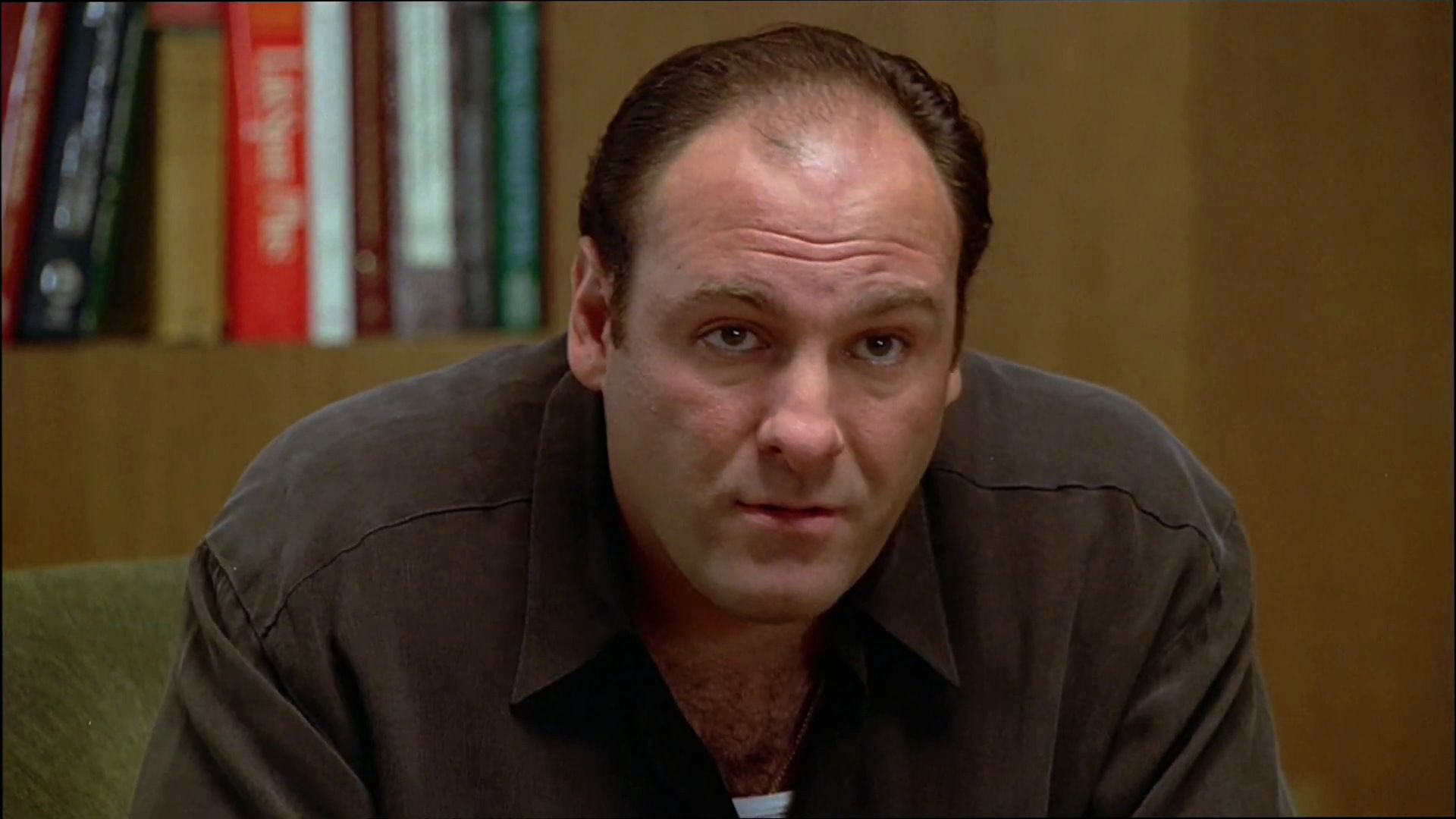 File:Tony Soprano therapy (The Sopranos Family Tree).jpg