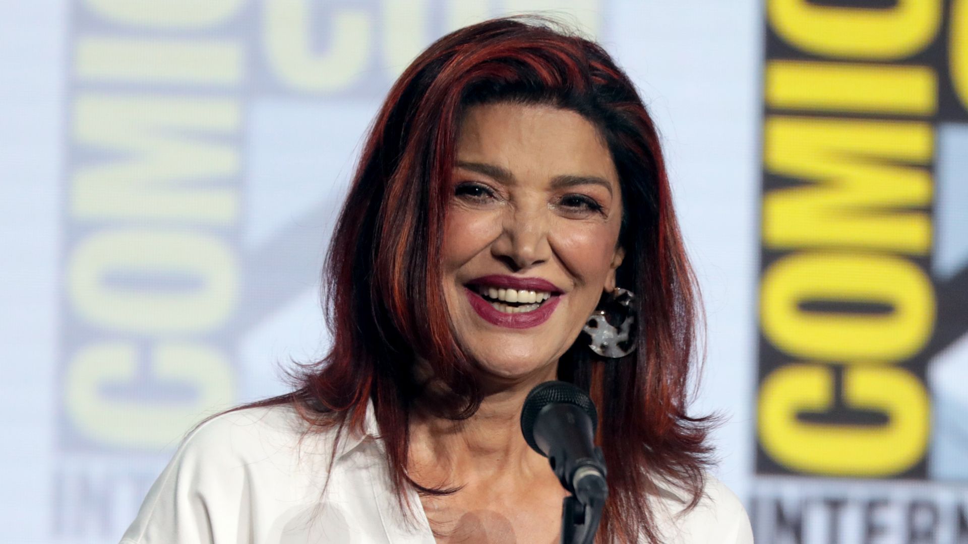 File:Shohreh Aghdashloo (48460100586).jpg