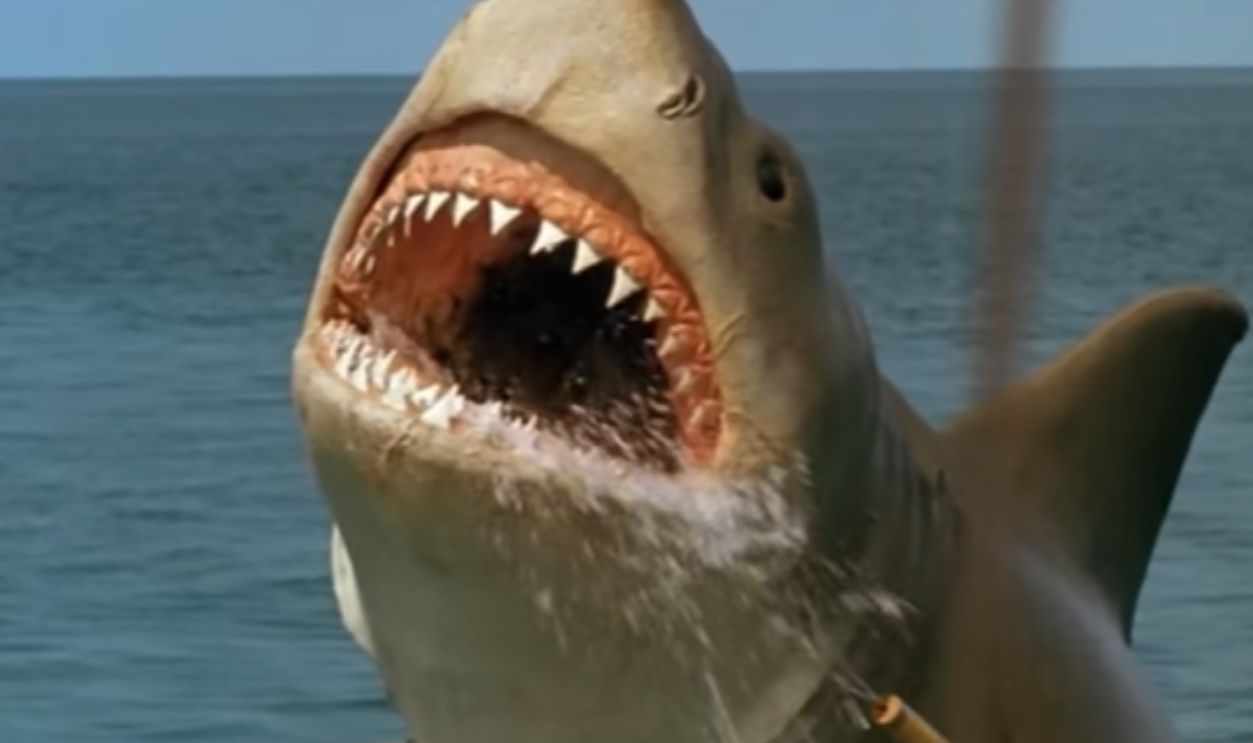 Screenshot from Jaws: The Revenge (1987)