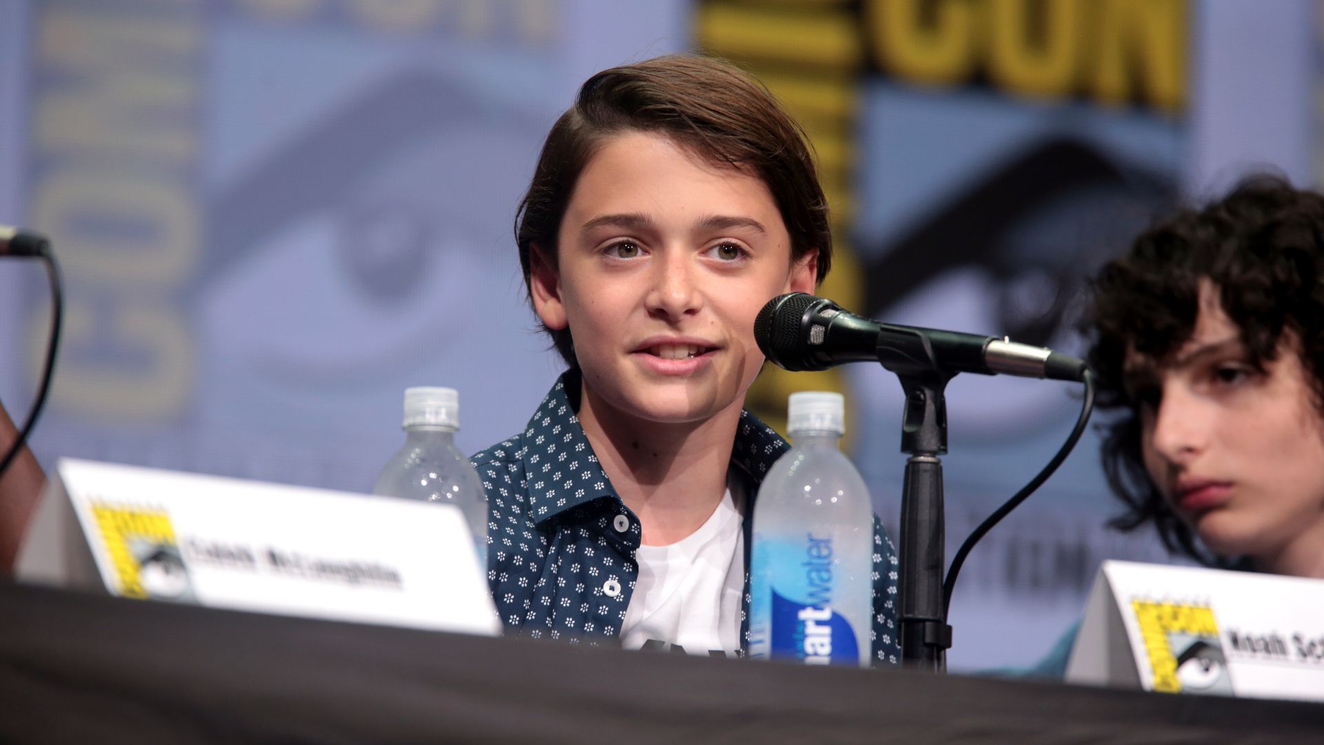 File:Noah Schnapp (36078978971).jpg