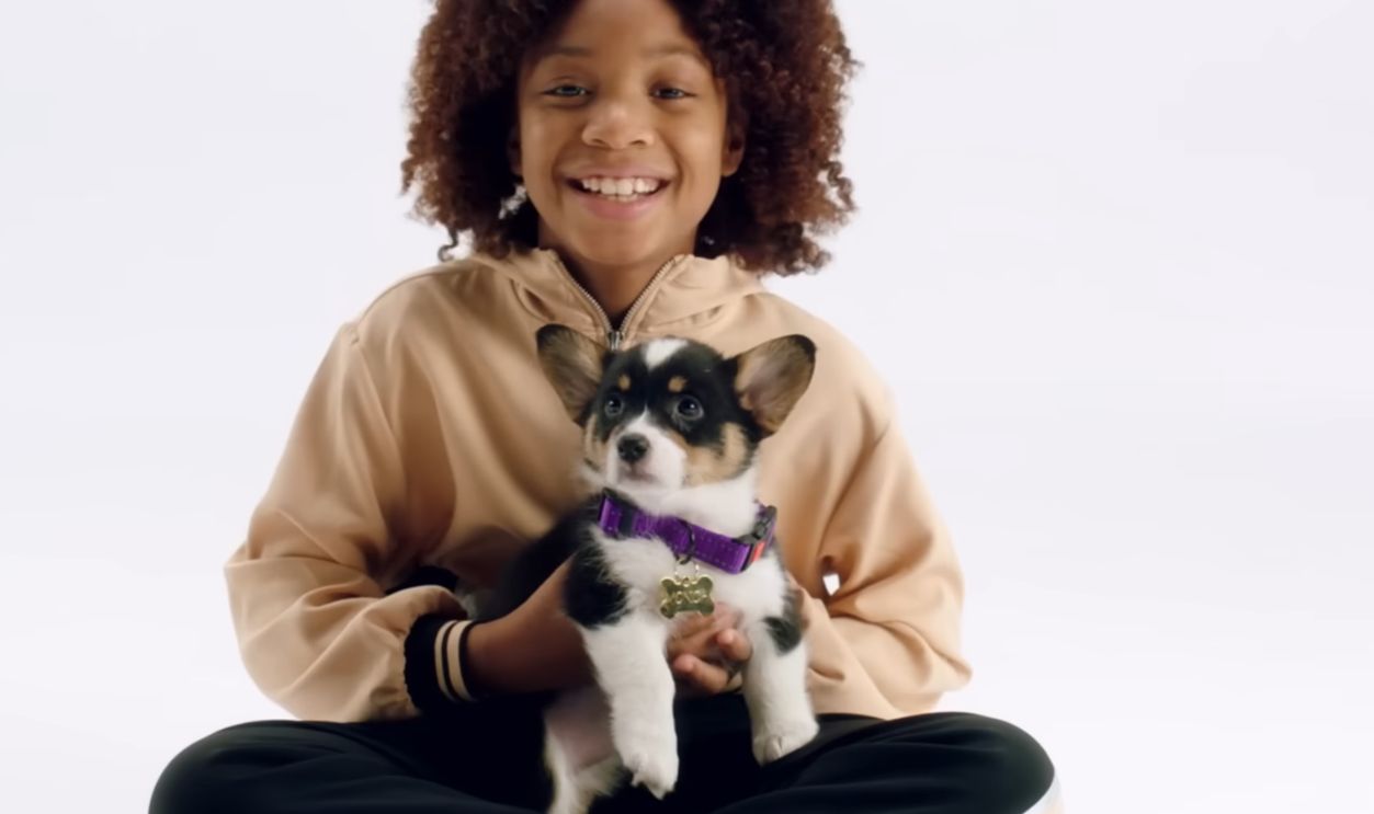 Screenshot from Puppy For Hanukkah (2020)