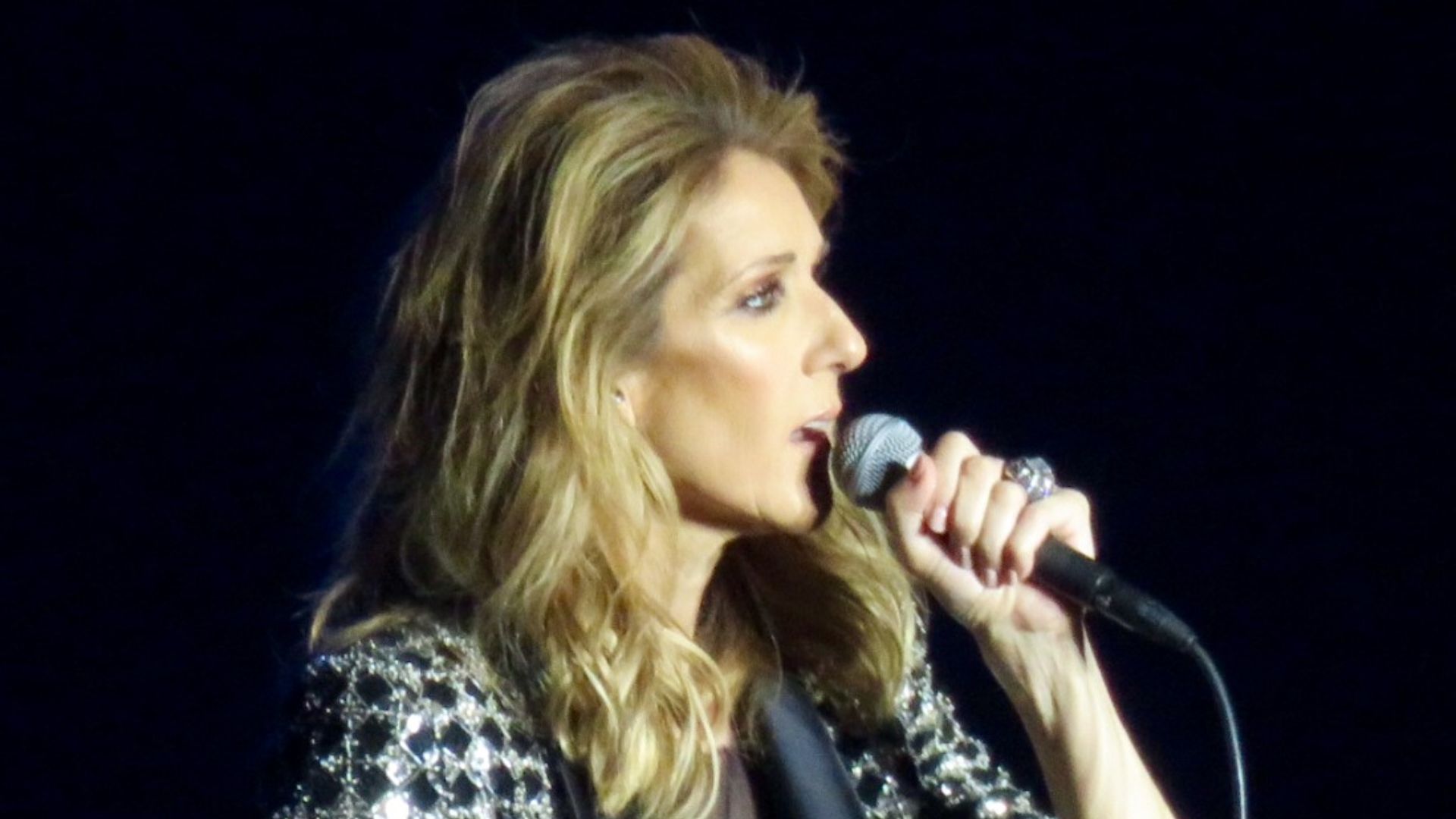 File:Celine Dion Live 2017.jpg