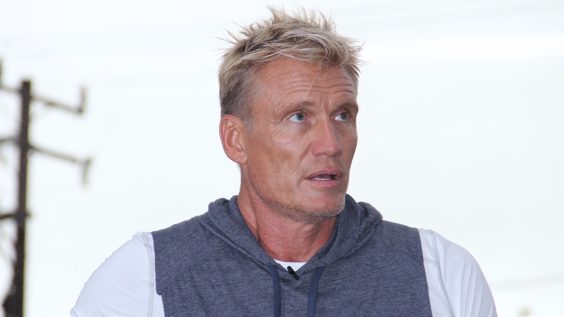 File:Dolph Lundgren Profile Pic.jpg