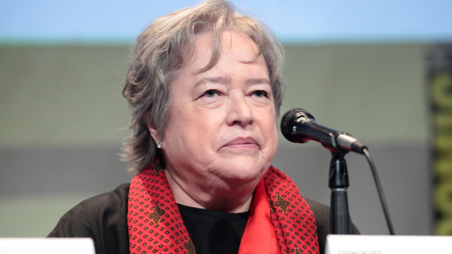 File:SDCC 2015 - Kathy Bates (19593064549).jpg
