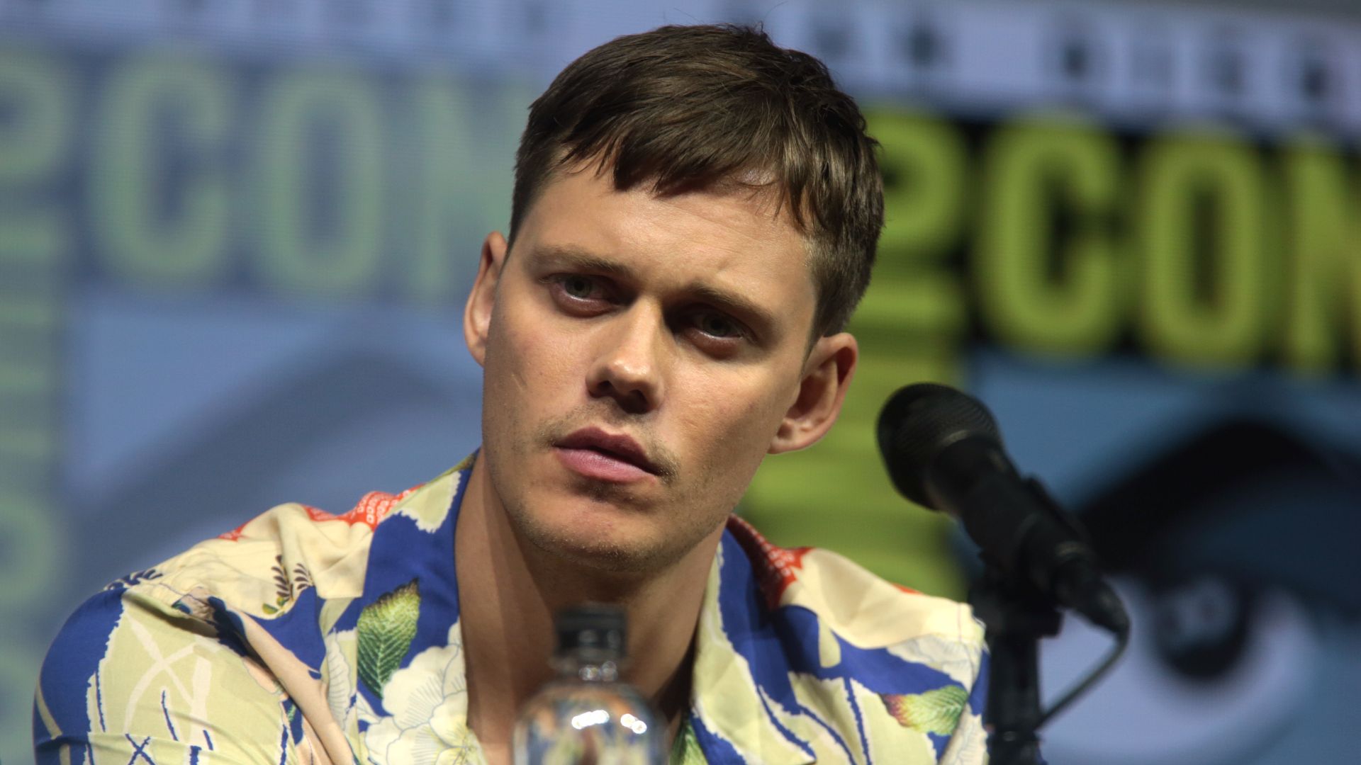 File:Bill Skarsgård (43573067882).jpg