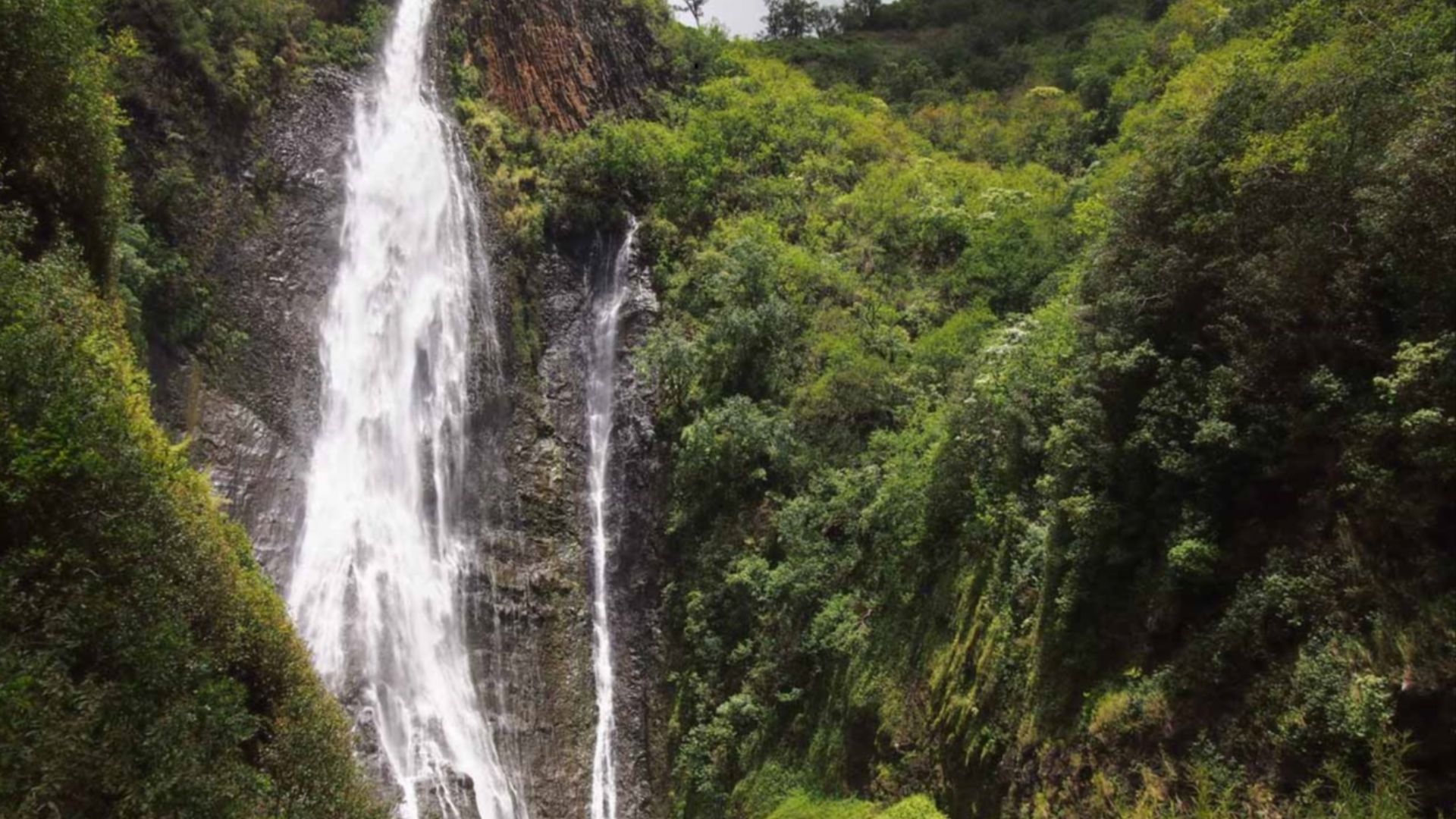 File:Manawaiopuna Falls.jpg