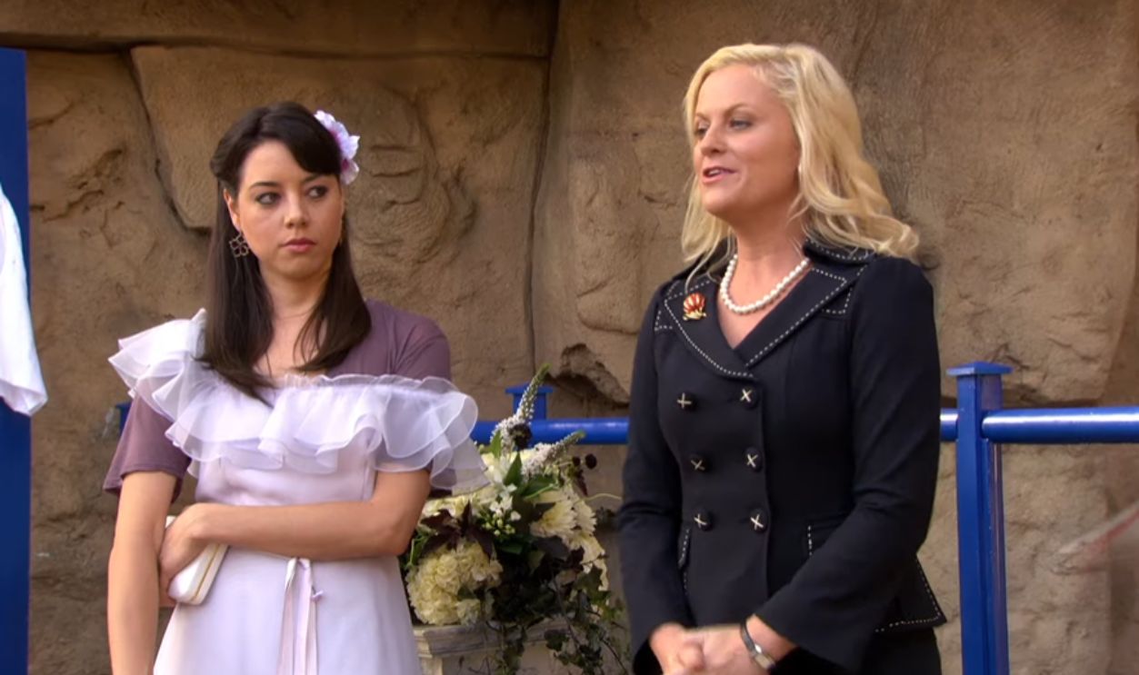 Screenshot from Parks and Recreation, NBC (2009-2015)