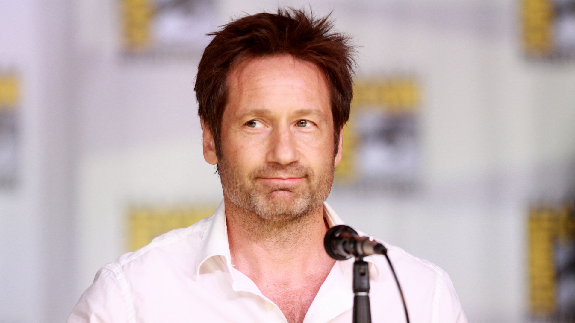 File:David Duchovny (9344563241).jpg