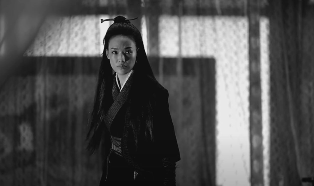 The Assassin (2015)