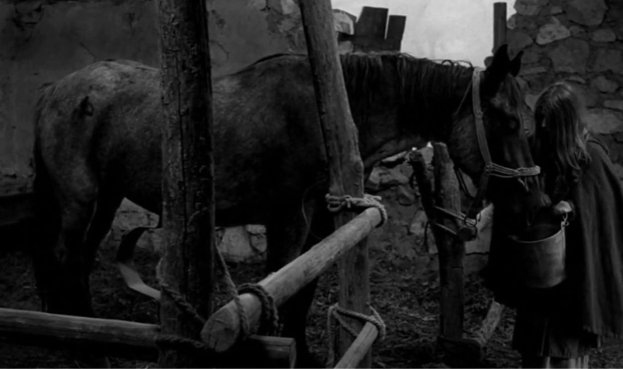 The Turin Horse (2011)