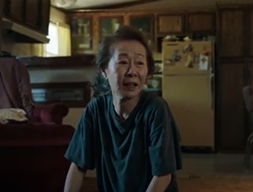 A visually captivating still taken from a pivotal moment in the film Minari (2020)