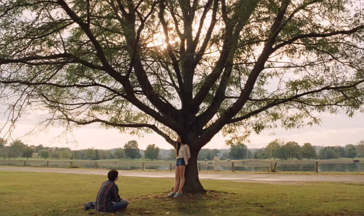 The Killing Of A Sacred Deer, 2017