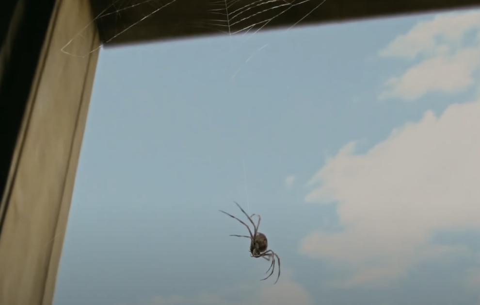 Screenshot  of the movie Charlotte's Web