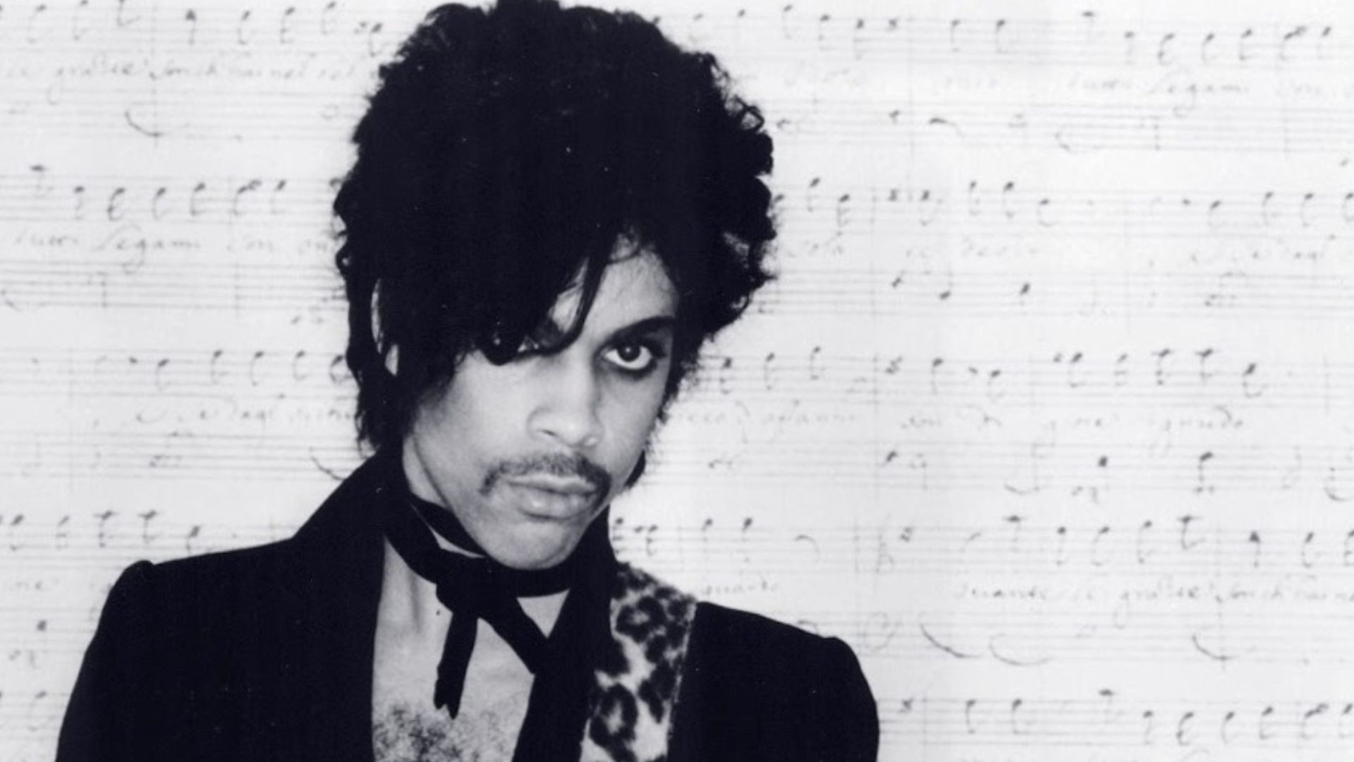 File:Prince 1981.jpg