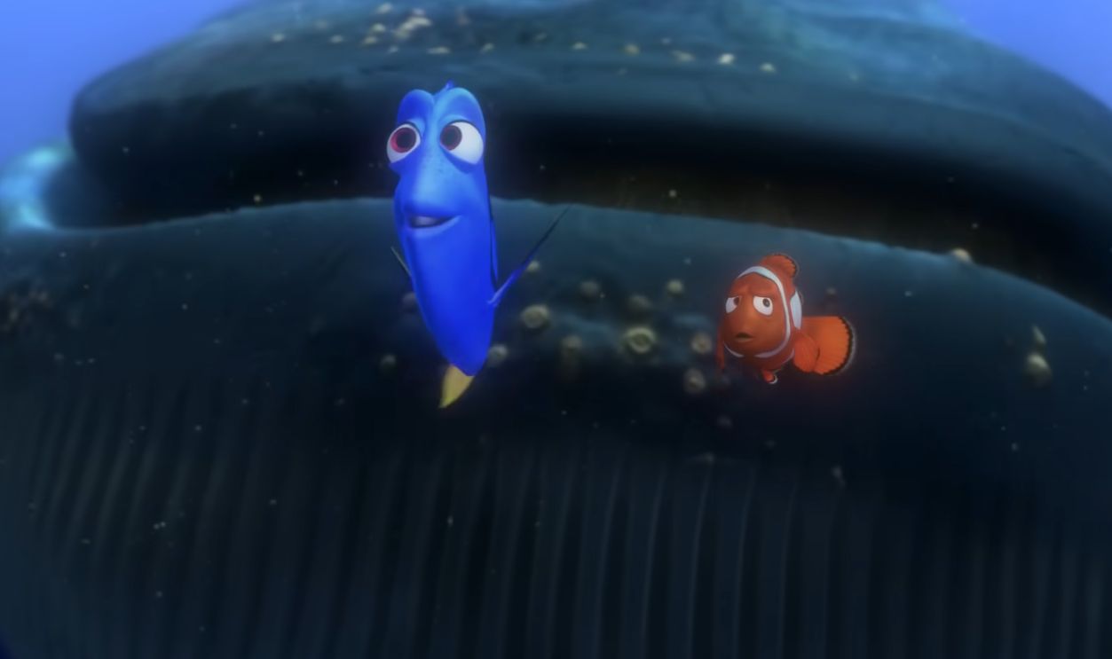 Finding Nemo