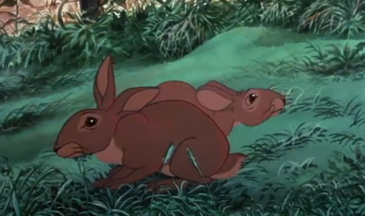 Watership Down