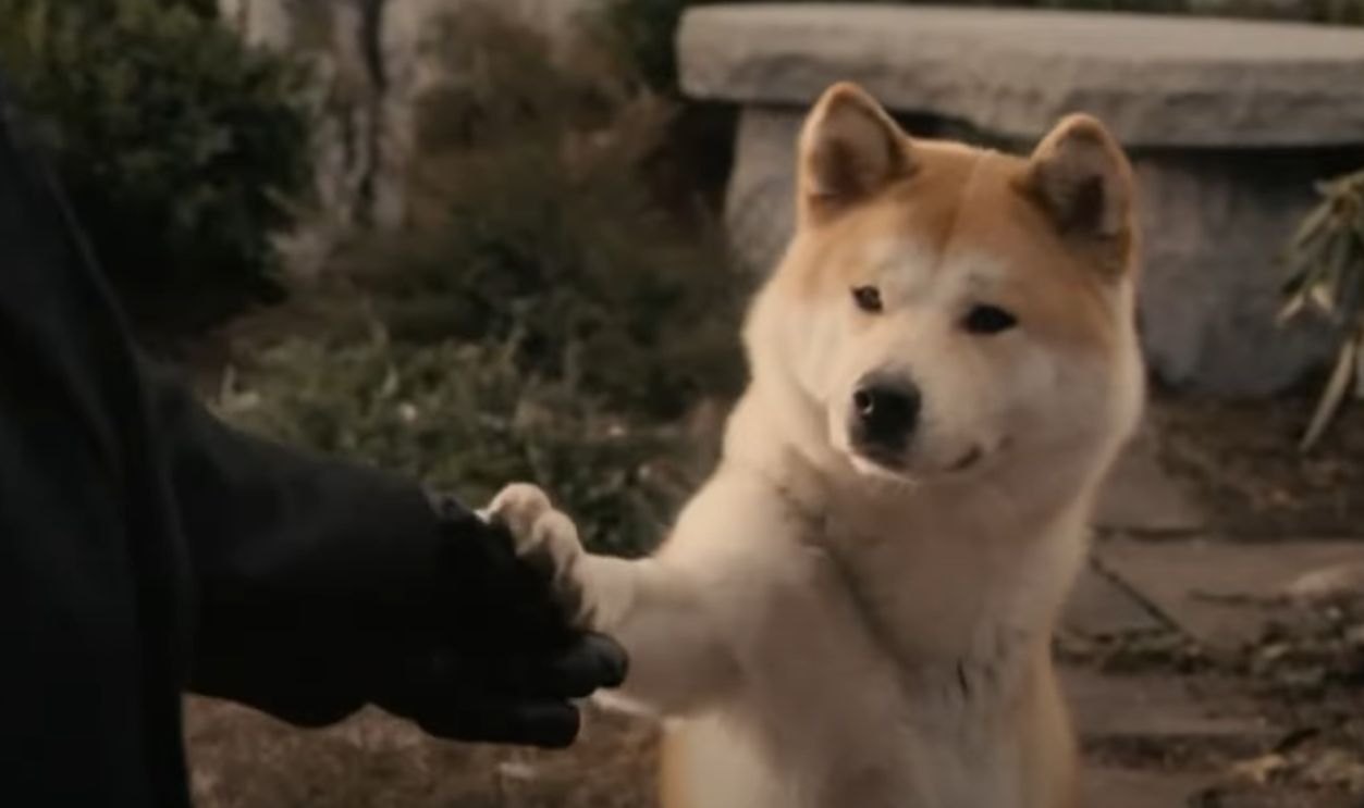  Hachi A Dog's Tale