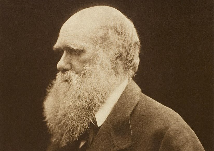 Carbon print of a photograph of Charles Darwin