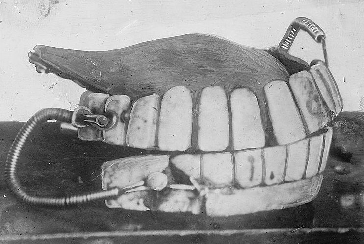 A display of dentures believed to have belonged to George Washington