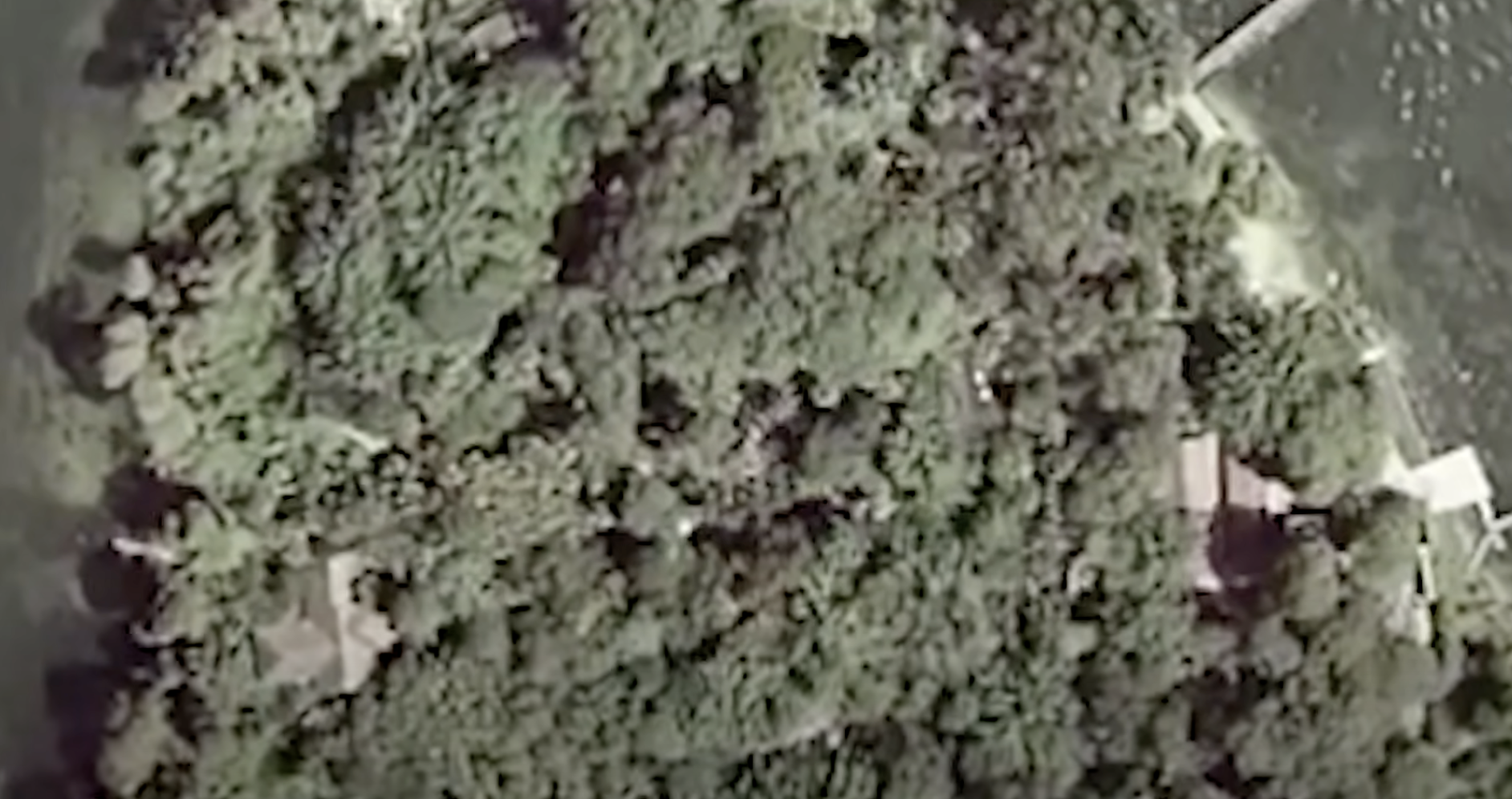 Disney Discovery Island3