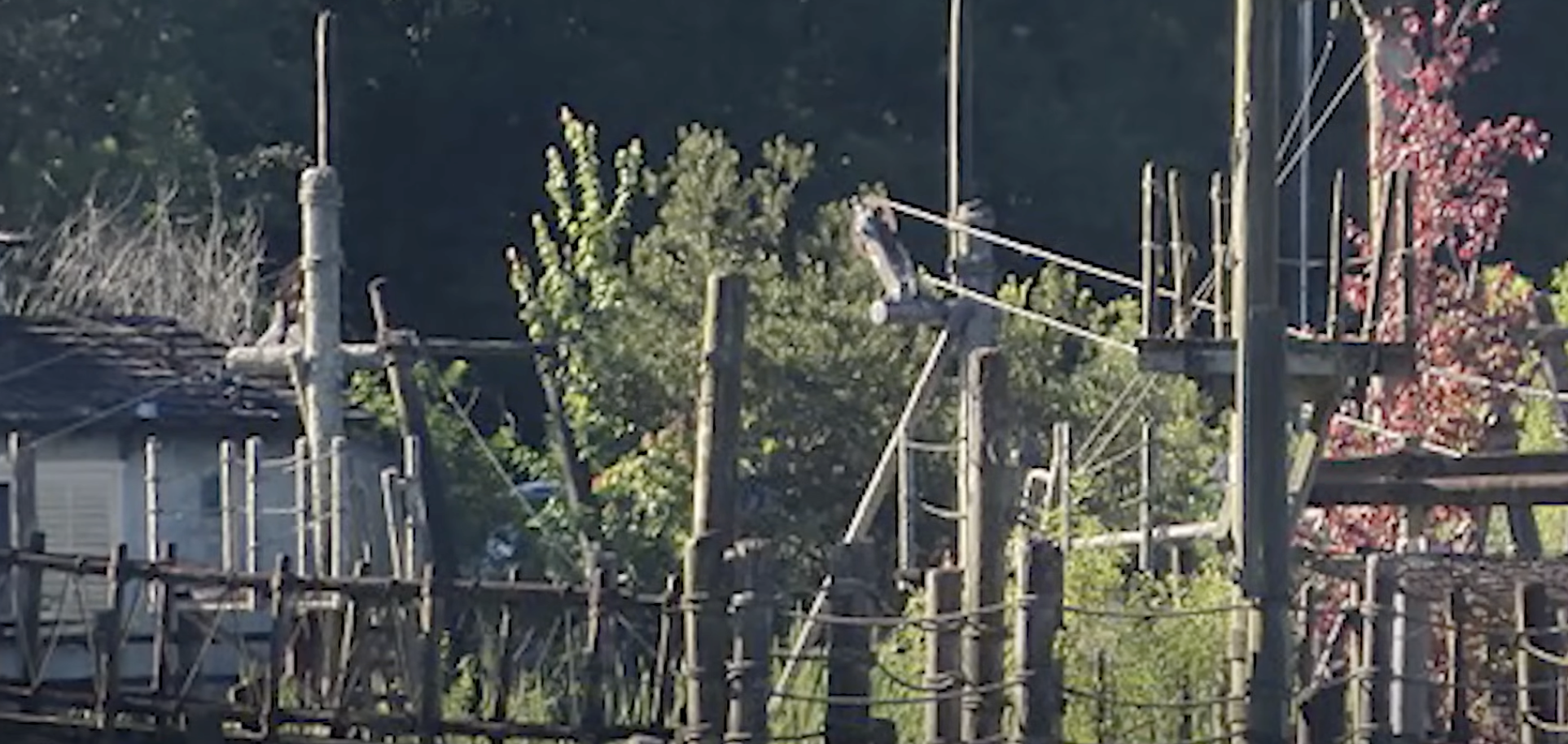 Disney River Countr1