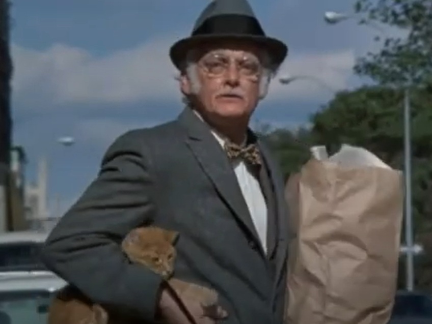 A visually captivating still taken from a pivotal moment in the film Harry and Tonto (1974)