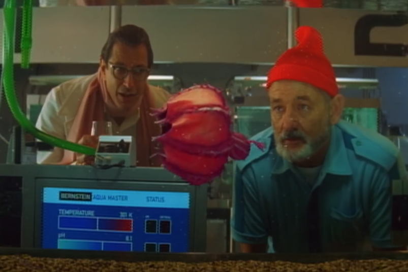 Screenshot of the movie The Life Aquatic with Steve Zissou