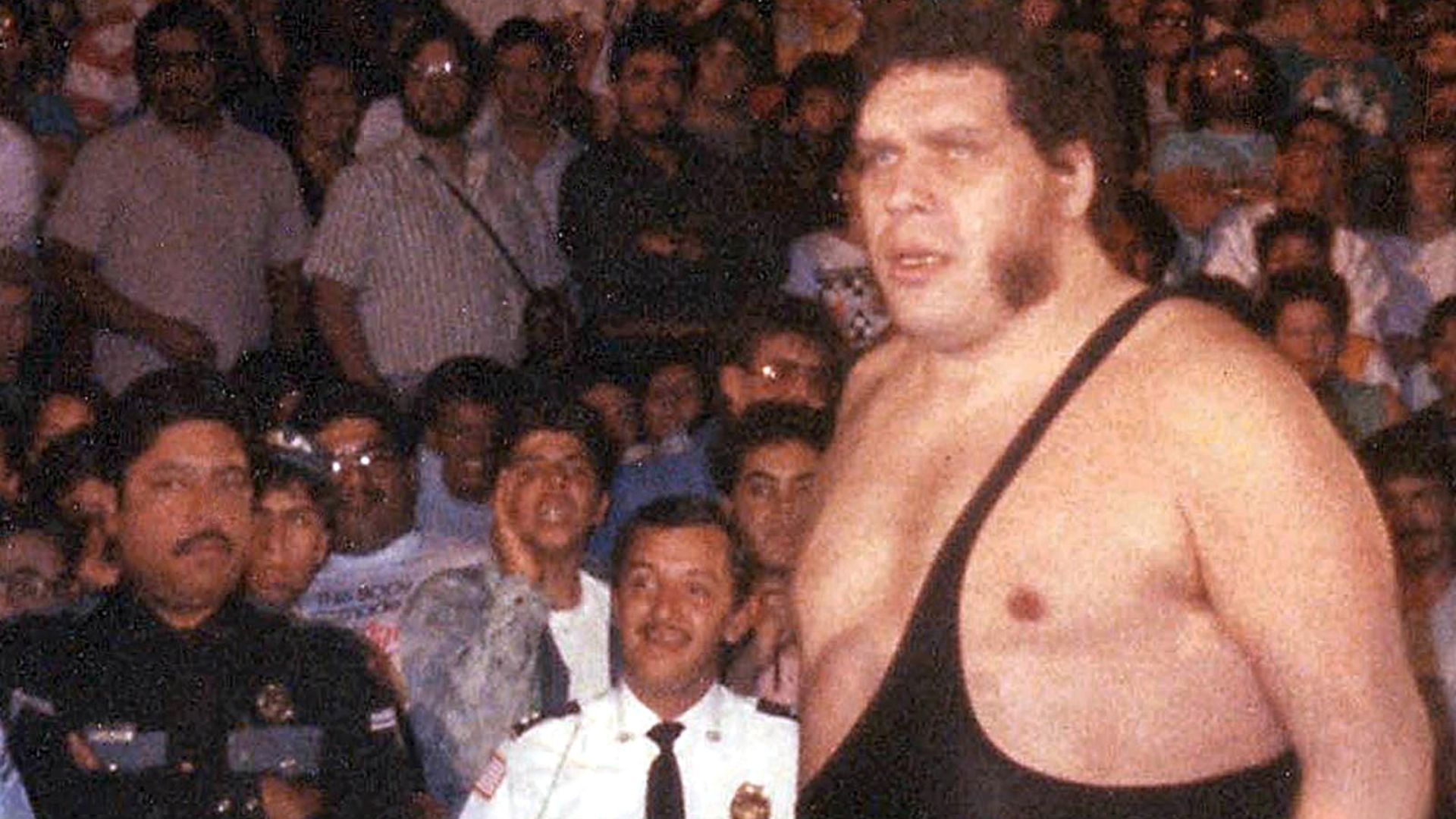 File:André the Giant in the late '80s.jpg