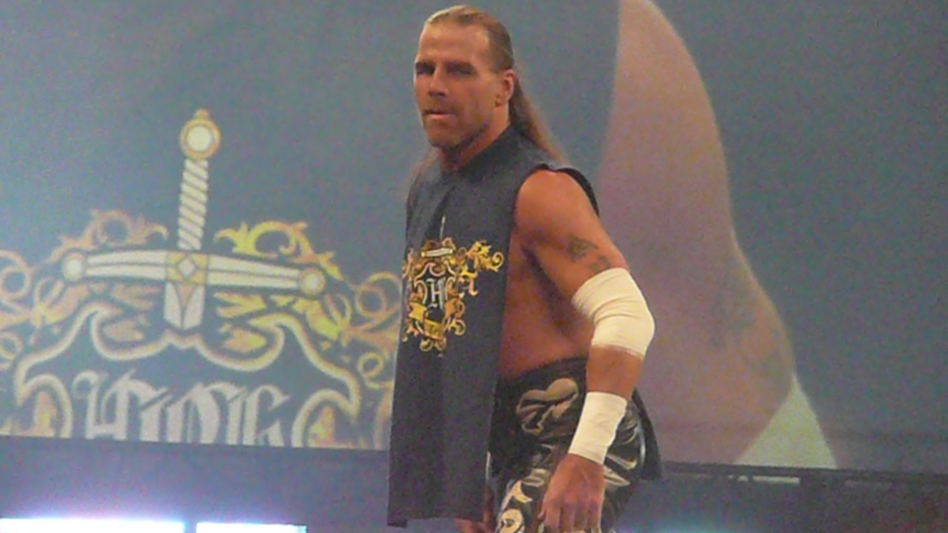 File:Shawn Michaels - November 2008.jpg