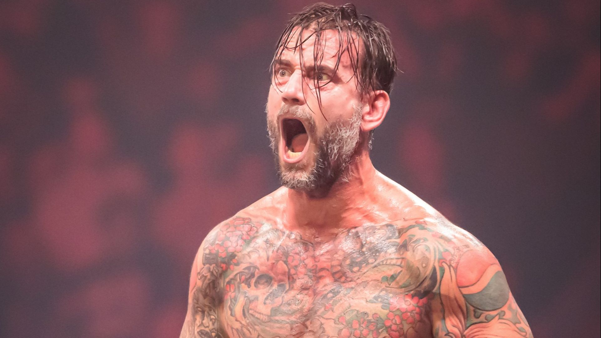File:CM Punk 2022-03-23 (AEW Wrestling, Dynamite, HEB Center, Cedar Park) 01.jpg
