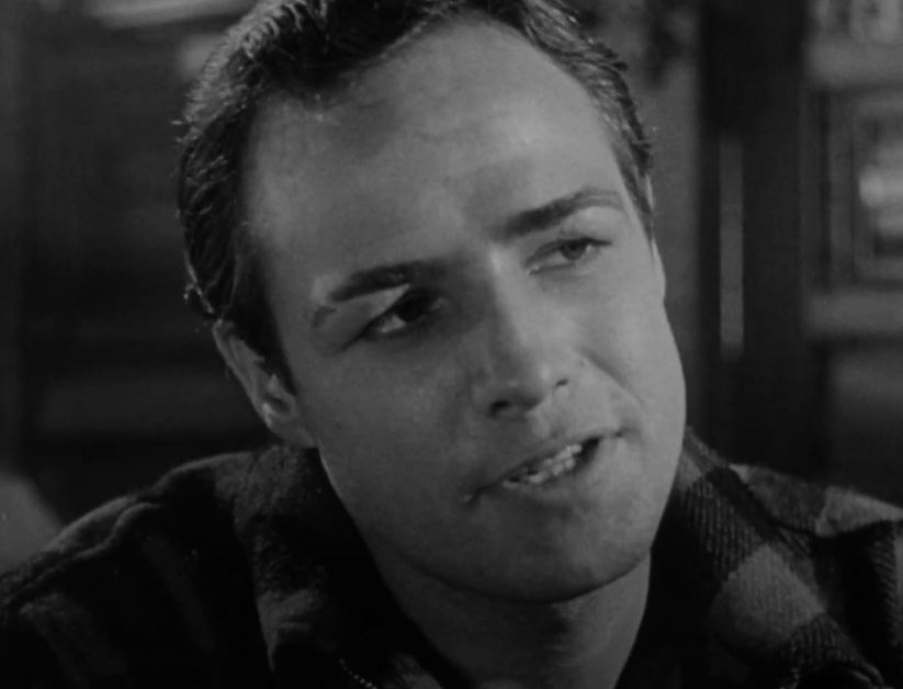 A visually captivating still taken from a pivotal moment in the film On the Waterfront (1954)