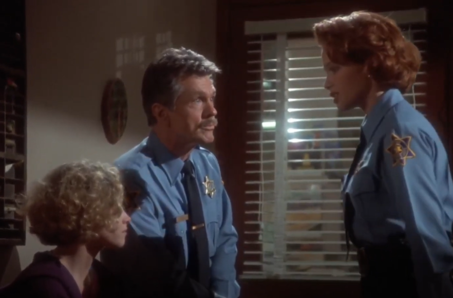 A screenshot of the TV Show Picket Fences