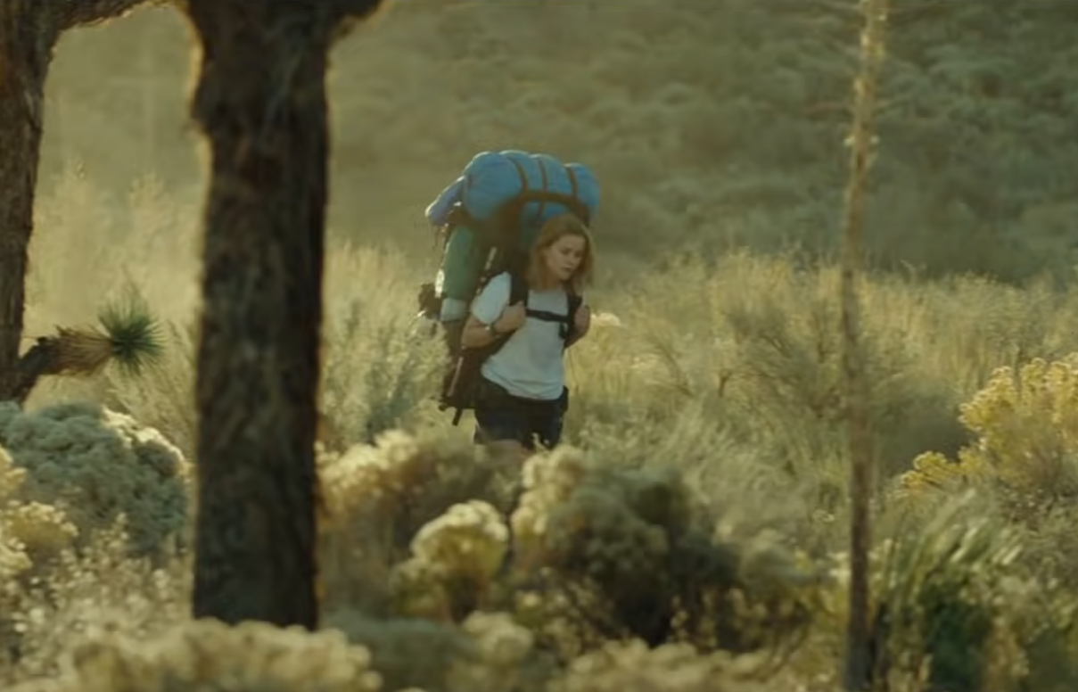 Screenshot of the movie Wild