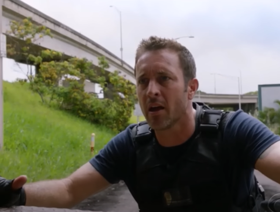 Screenshot from TV Series -  Hawaii Five-0 (2010-2020)