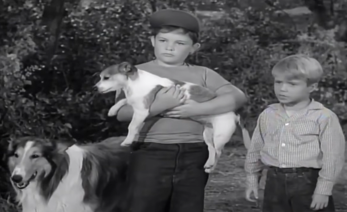 Screenshot from TV Series - Lassie (1954-74)