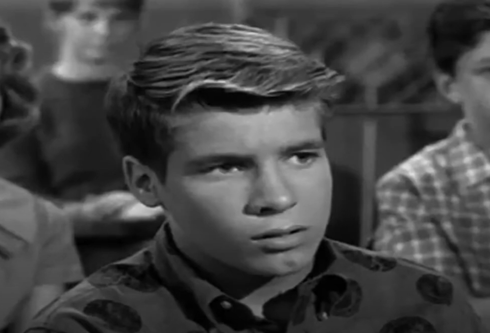 Screenshot from TV Series - My Three Sons (1960–1972)