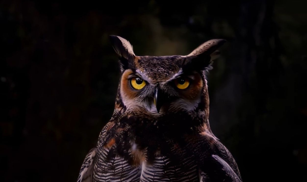 Twin Peaks (1990–1991, 2017)