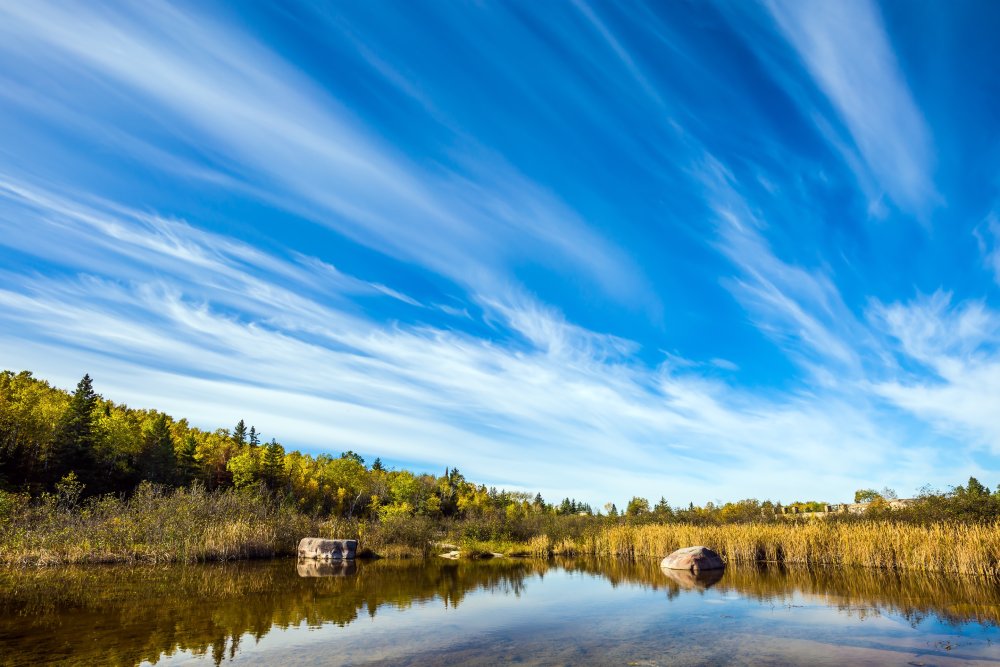 Landscape Photo of Lake near a forest trees view with cirrus clouds above