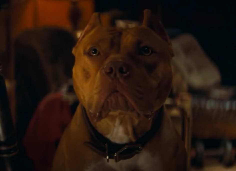 Screenshot from the movie - Once Upon a Time... in Hollywood (2019)